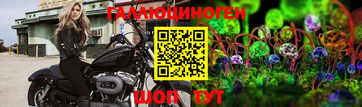 Галлюциногенные грибы Magic Shrooms  Вход с VPN  Азов  Галлюциногенные грибы мухоморы 